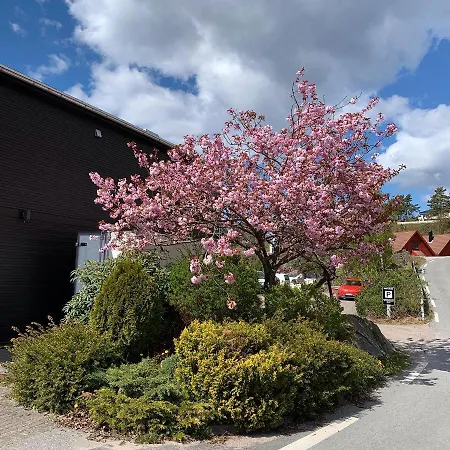 Trysnes Brygge Aparthotel *