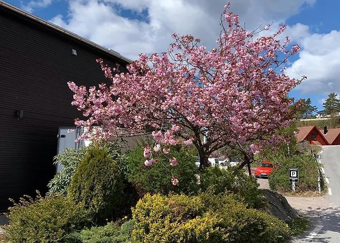 Trysnes Brygge Apart-hotel 4*